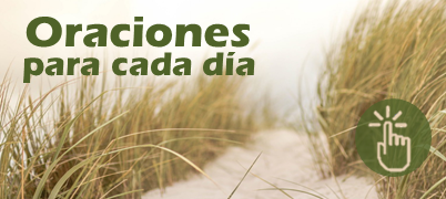 Año de la Fe