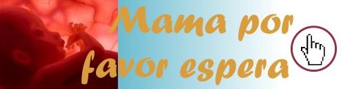 No abortes